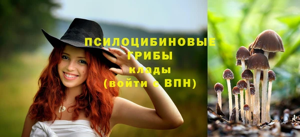дмт Алзамай
