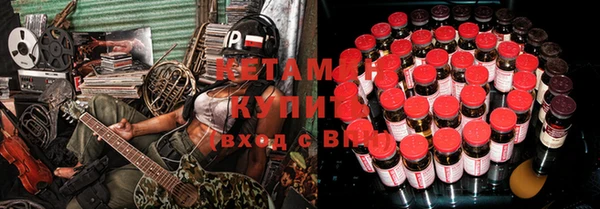 дмт Алзамай