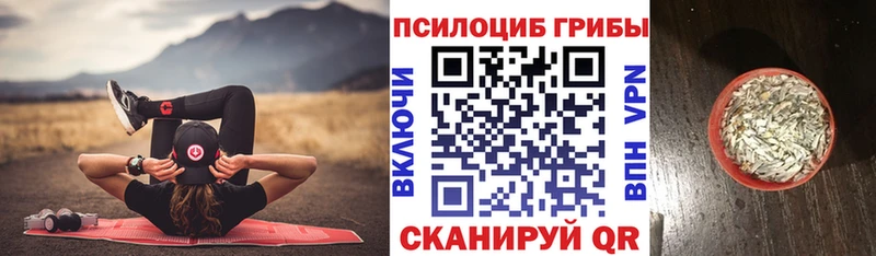 Галлюциногенные грибы MAGIC MUSHROOMS Цимлянск